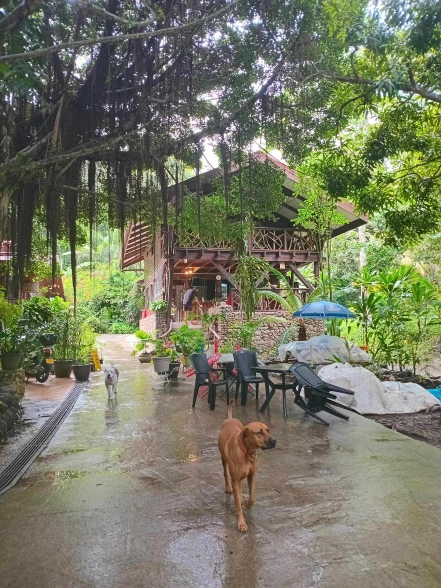 Hotel Haere Mai I Te Fare Teavaro Exterior foto